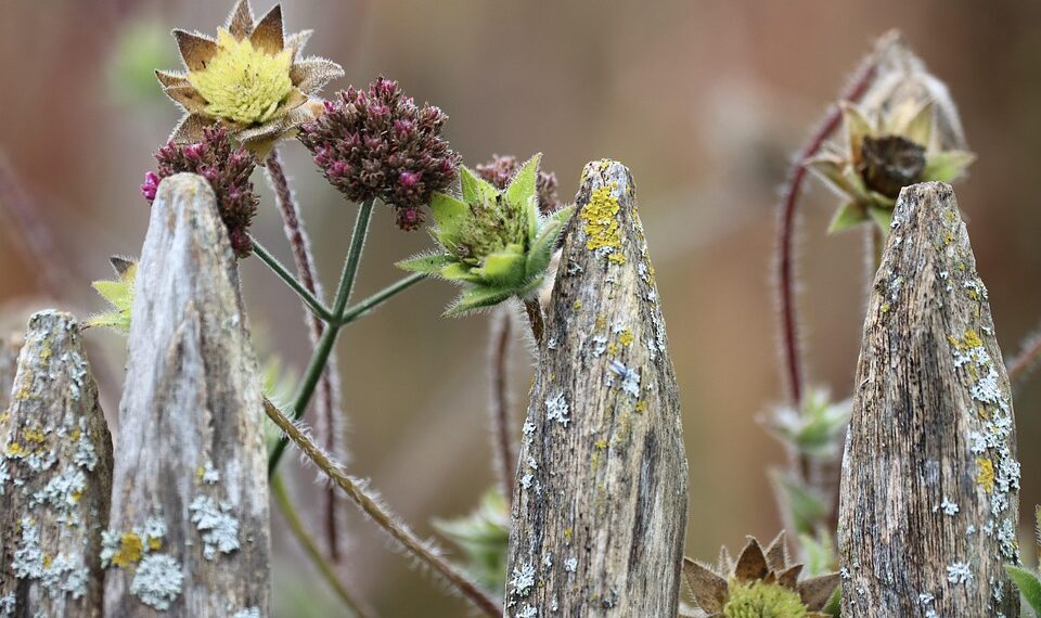 Top 20 Startup Cities in the World, 2025

1.  San Francisco, USA 
2.  New York,