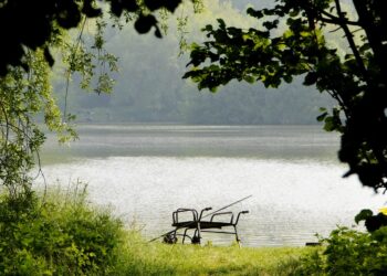 fishing 3494064 960 720.jpg