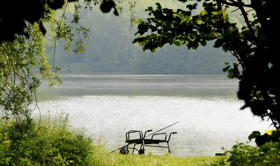 fishing 3494064 960 720.jpg