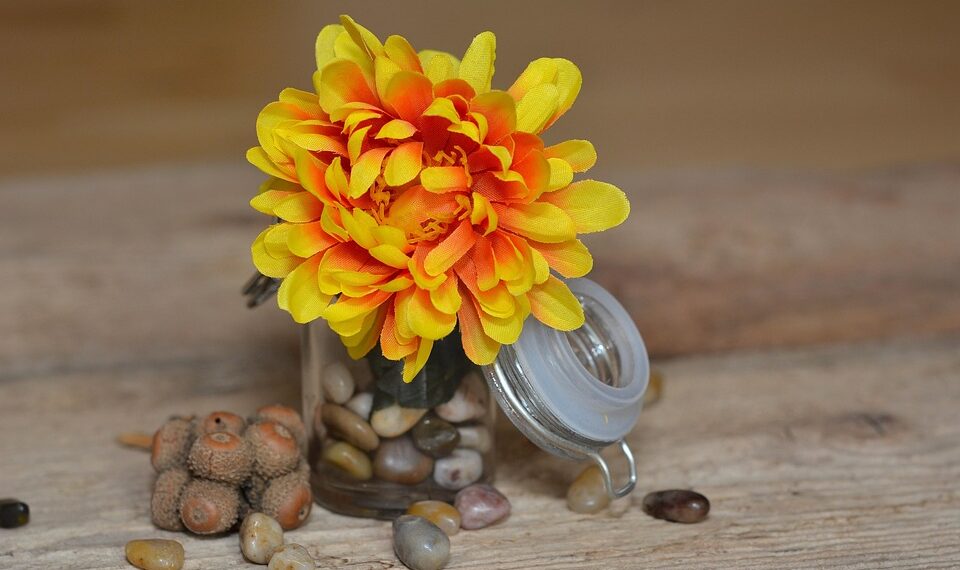 flower 686397 960 720.jpg