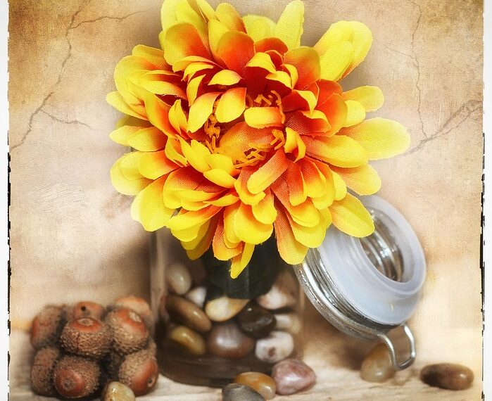 flower 686399 960 720.jpg