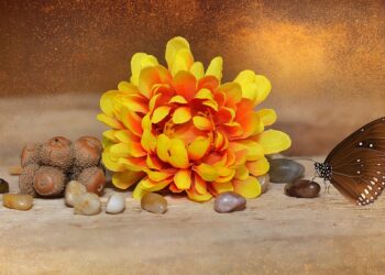 flower 688712 960 720.jpg