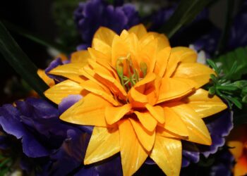 flower 7990677 960 720.jpg