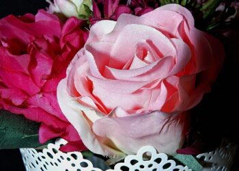 flowers 1431062 960 720.jpg