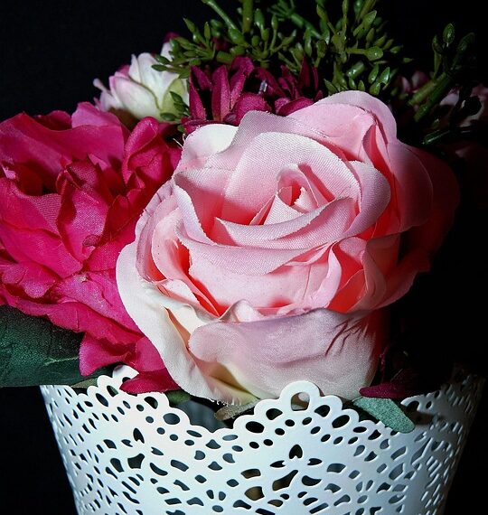 flowers 1431062 960 720.jpg