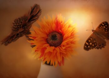 flowers 678176 960 720.jpg