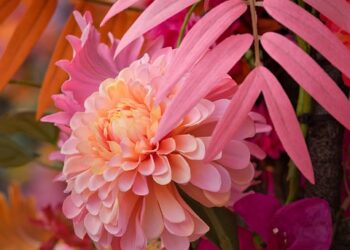 flowers 8147651 960 720.jpg