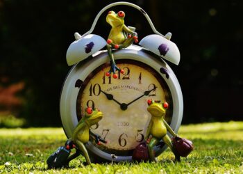 frogs 1407381 960 720.jpg