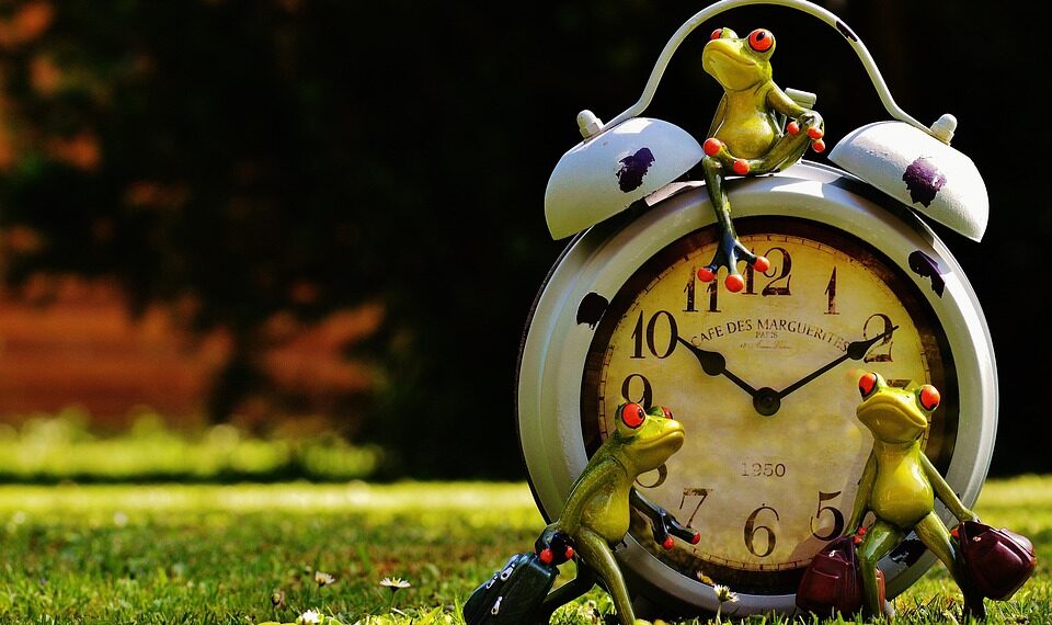 frogs 1407383 960 720.jpg