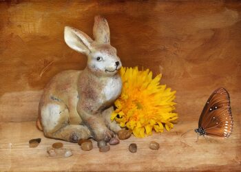 hare 688813 960 720.jpg