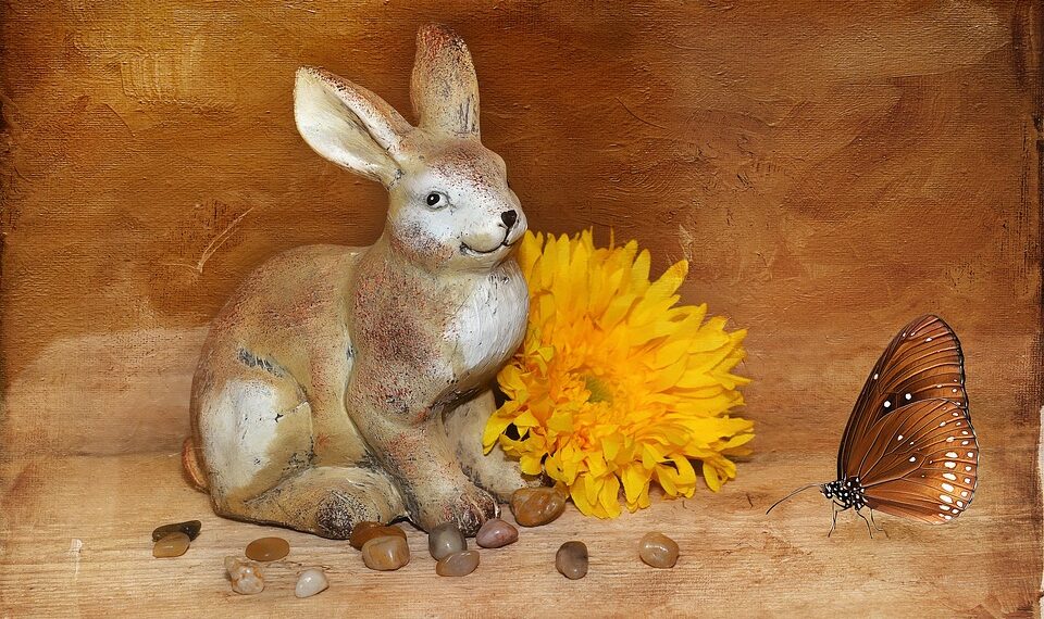 hare 688813 960 720.jpg