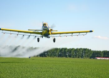 intelligent 2688419 960 720.jpg