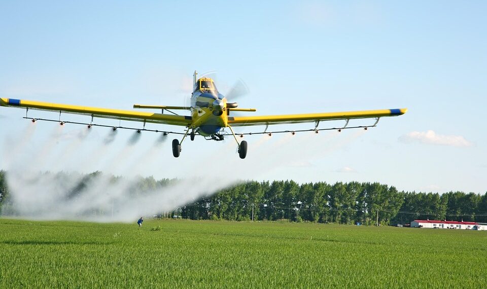 intelligent 2688419 960 720.jpg