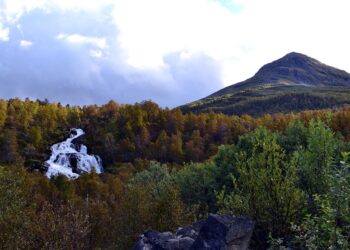 Most Economically Stable Countries

1  UAE
2  Switzerland
3  Germany
4  Canada
5