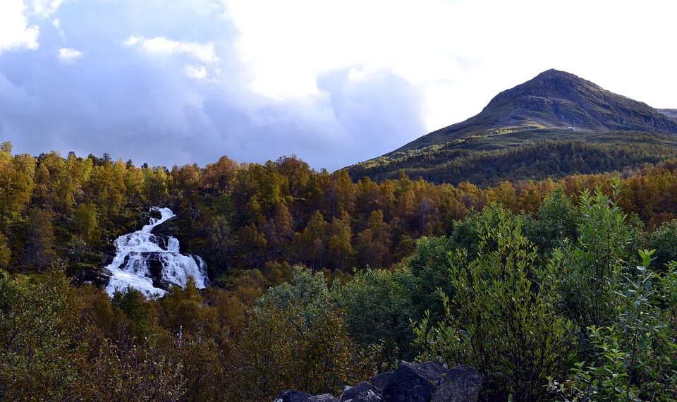 Most Economically Stable Countries

1  UAE
2  Switzerland
3  Germany
4  Canada
5