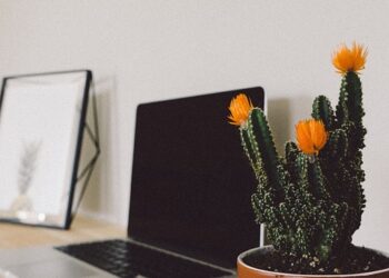 laptop 2588938 960 720.jpg