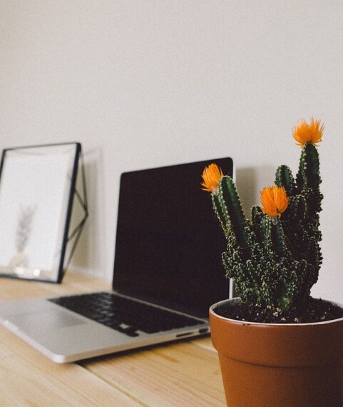 laptop 2588938 960 720.jpg