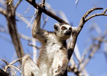 Top 25 Countries with the Lowest Quality of Life in 2025

1.  Nigeria
2.  Venezu