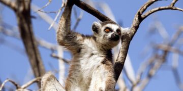 Top 25 Countries with the Lowest Quality of Life in 2025

1.  Nigeria
2.  Venezu