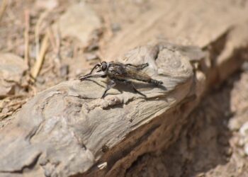 50 Sex Facts That Will Break Your Expectations   

1.  Global average age of fir