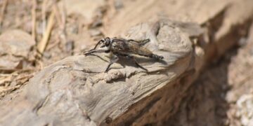 50 Sex Facts That Will Break Your Expectations   

1.  Global average age of fir