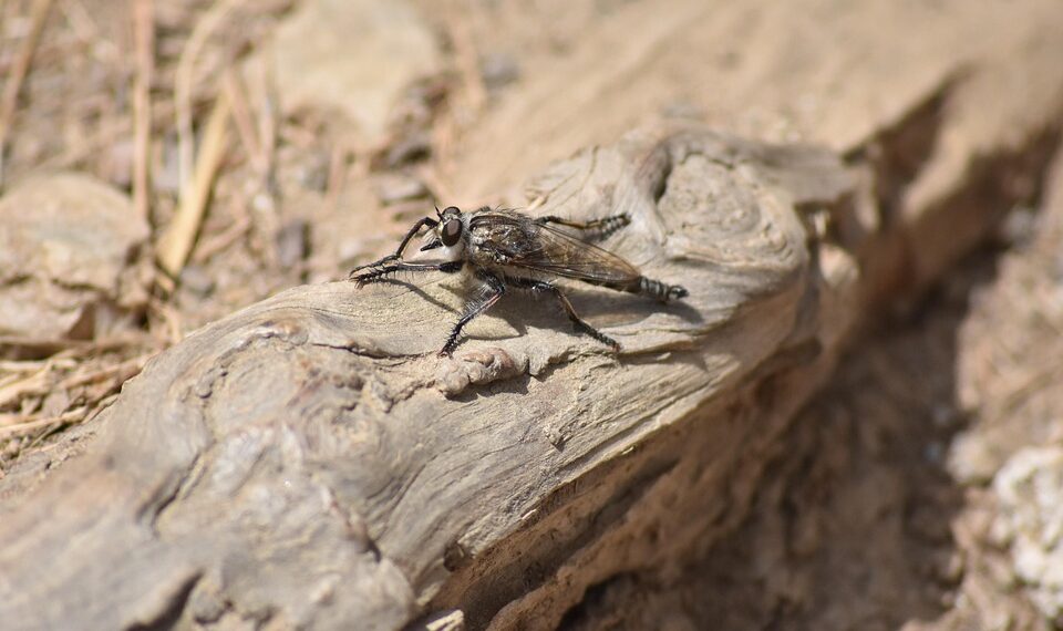 50 Sex Facts That Will Break Your Expectations   

1.  Global average age of fir