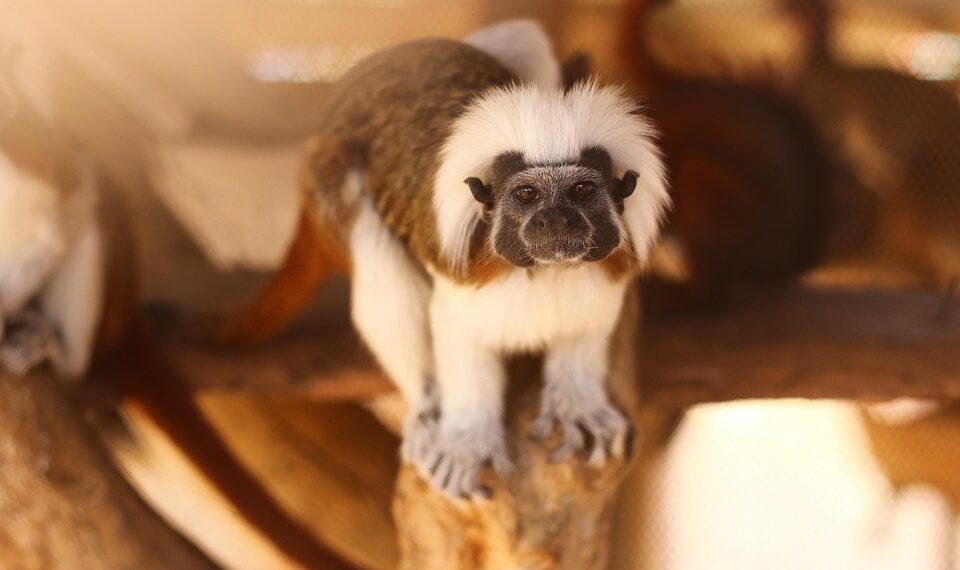 World's Most Powerful Passports 2025

1.  Singapore – 193  
2.  South Korea – 1