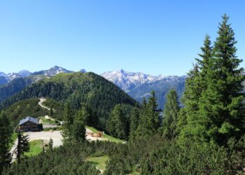 Countries with the Most Beautiful Women 

1. Turkey
2. Brazil
3. France
4. Russi