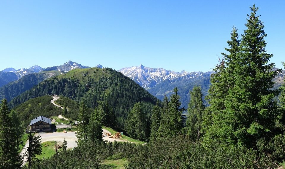 Countries with the Most Beautiful Women 

1. Turkey
2. Brazil
3. France
4. Russi