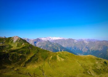 World's Most Powerful People

1.  Xi Jinping
2.  Vladimir Putin
3.  Donald Trump