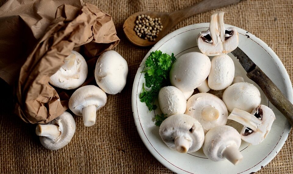 Best Football Players of All Time
1. Pelé
2. Diego Maradona
3. Lionel Messi