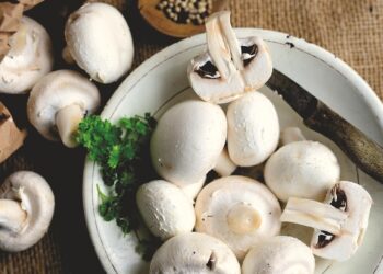 World's Top 40 Most Fun Countries  

1.  Spain
2.  Brazil
3.  Thailand
4.  Italy