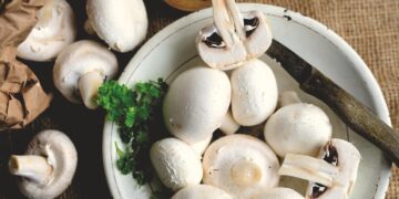 World's Top 40 Most Fun Countries  

1.  Spain
2.  Brazil
3.  Thailand
4.  Italy