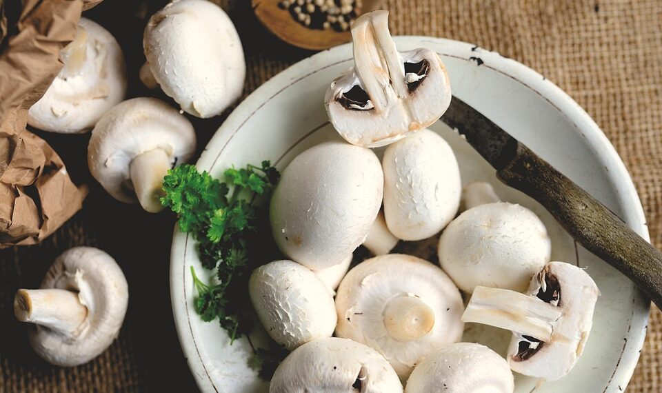 World's Top 40 Most Fun Countries  

1.  Spain
2.  Brazil
3.  Thailand
4.  Italy