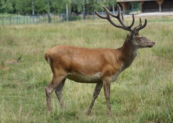 % of Population Using Social Media for News – 2025

1.  Nigeria – 56.6%
2.  Braz