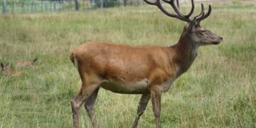 % of Population Using Social Media for News – 2025

1.  Nigeria – 56.6%
2.  Braz