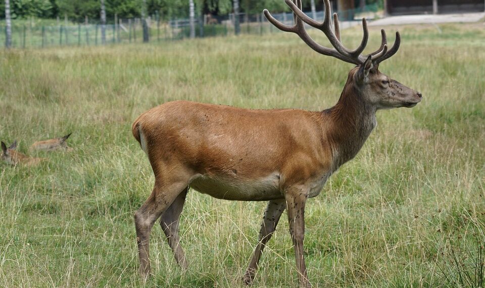 % of Population Using Social Media for News – 2025

1.  Nigeria – 56.6%
2.  Braz