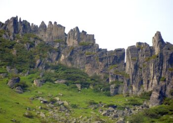 Rating of the Best Musicians of All Time:

1. Michael Jackson
2. Elvis Presley
3