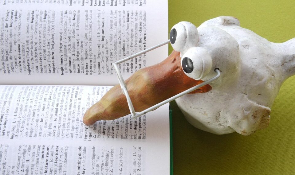 school 1661730 960 720.jpg