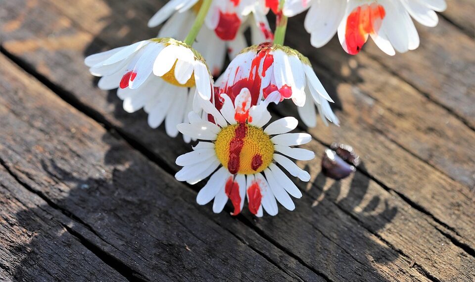 stop youth suicide 3414467 960 720.jpg