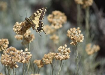 50 Sex Facts That Will Break Your Expectations   

1.  Global average age of fir