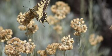 50 Sex Facts That Will Break Your Expectations   

1.  Global average age of fir