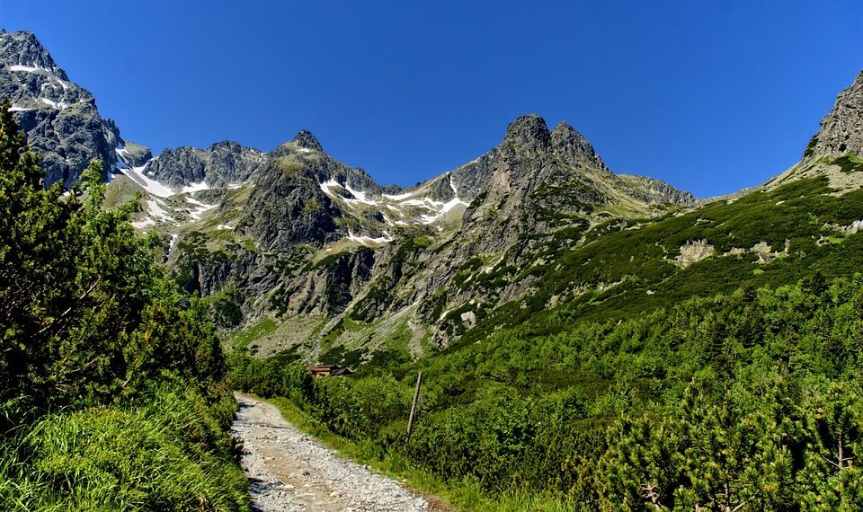 Top 25 Countries with the Best Education System 

1.  United States
2.  United K