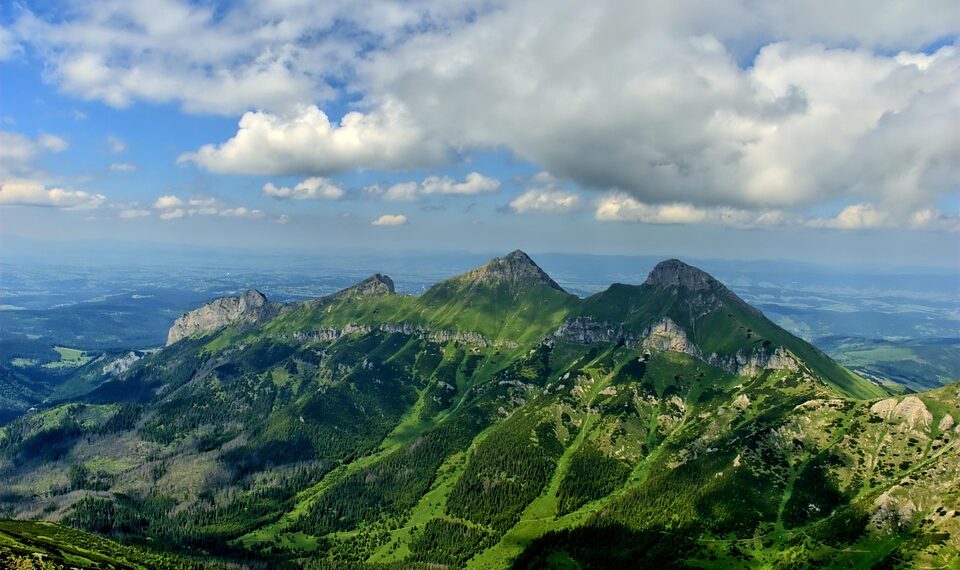 Rating of the Best Musicians of All Time:

1. Michael Jackson
2. Elvis Presley
3