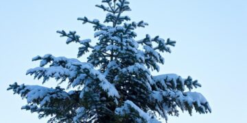 Largest Economies by GDP in 2026 (Billions)

1.  U.S. – $31,821 Billion
2.  Chin