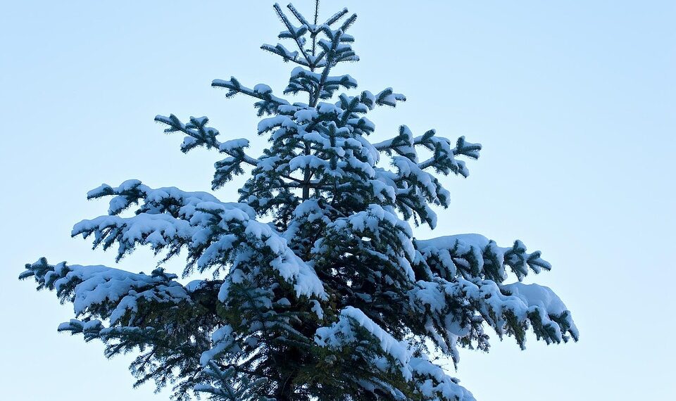 Largest Economies by GDP in 2026 (Billions)

1.  U.S. – $31,821 Billion
2.  Chin