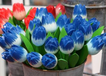 tulips 3516638 960 720.jpg