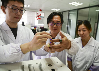 Chinese Bachelor’s Graduates Choose Vocational Training Over Continued Study, Report Finds