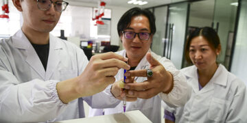 Chinese Bachelor’s Graduates Choose Vocational Training Over Continued Study, Report Finds