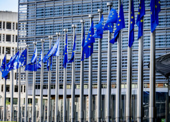 Chinese Companies Must Prepare as EU Foreign Subsidy Rules Face Criticism